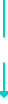 u514_seg0